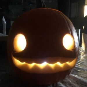 Meet your Posher, Shelley